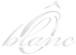 logo-white
